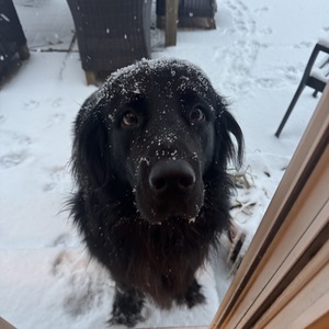 Fundraising Page: Zoe Milewski